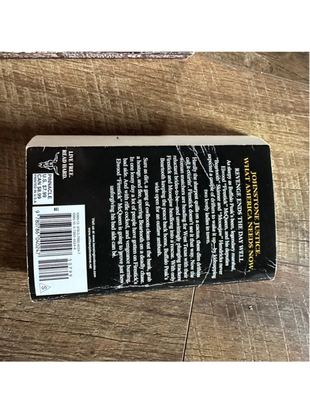 Pinnacle Books Western Paperback Book Set, One Size, Brown and Blue